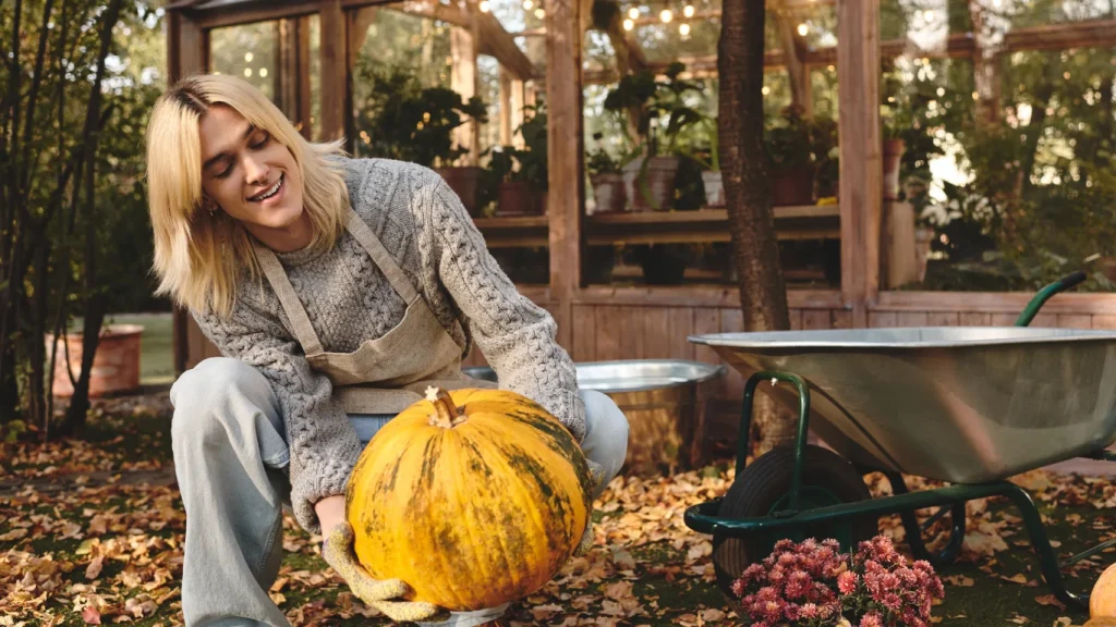 Person in a cozy fall sweater and apron lifting a large pumpkin in a garden, symbolizing seasonal harvest and natural immune support.